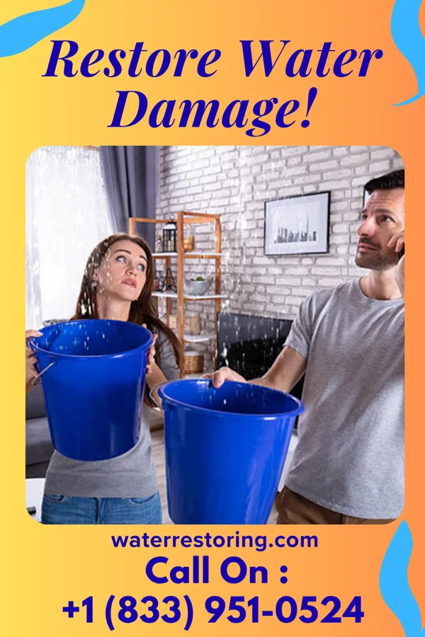 water restoration Trusted Drying Professionals Clearwater