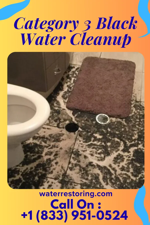 Category 3 Black Water Cleanup in Clearwater, FL