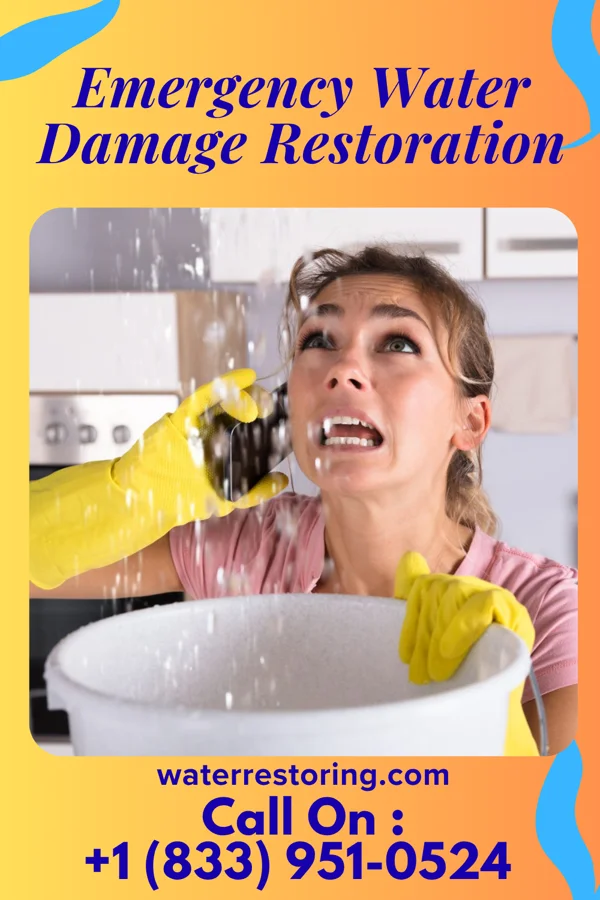 Emergency Water Damage Restoration in Clearwater, FL